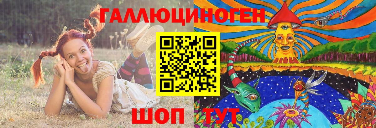 Галлюциногенные грибы Psilocybine cubensis  Псилоцибиновые грибы прущие грибы  Ноябрьск  Вход с VPN 