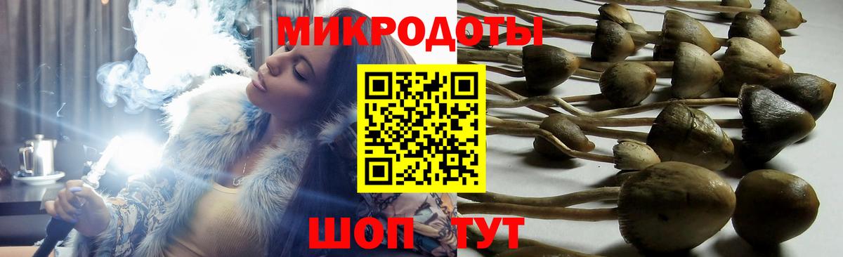 Псилоцибиновые грибы прущие грибы Ноябрьск